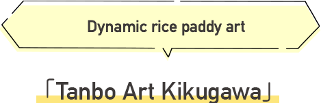 Tanbo Art Kikugawa Dynamic rice paddy art