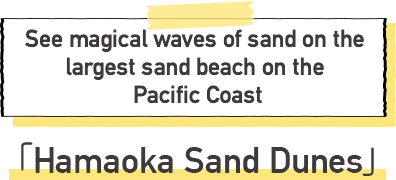 Hamaoka Sand Dunes See magical waves of sand on the largest sand beach on the Pacific Coast